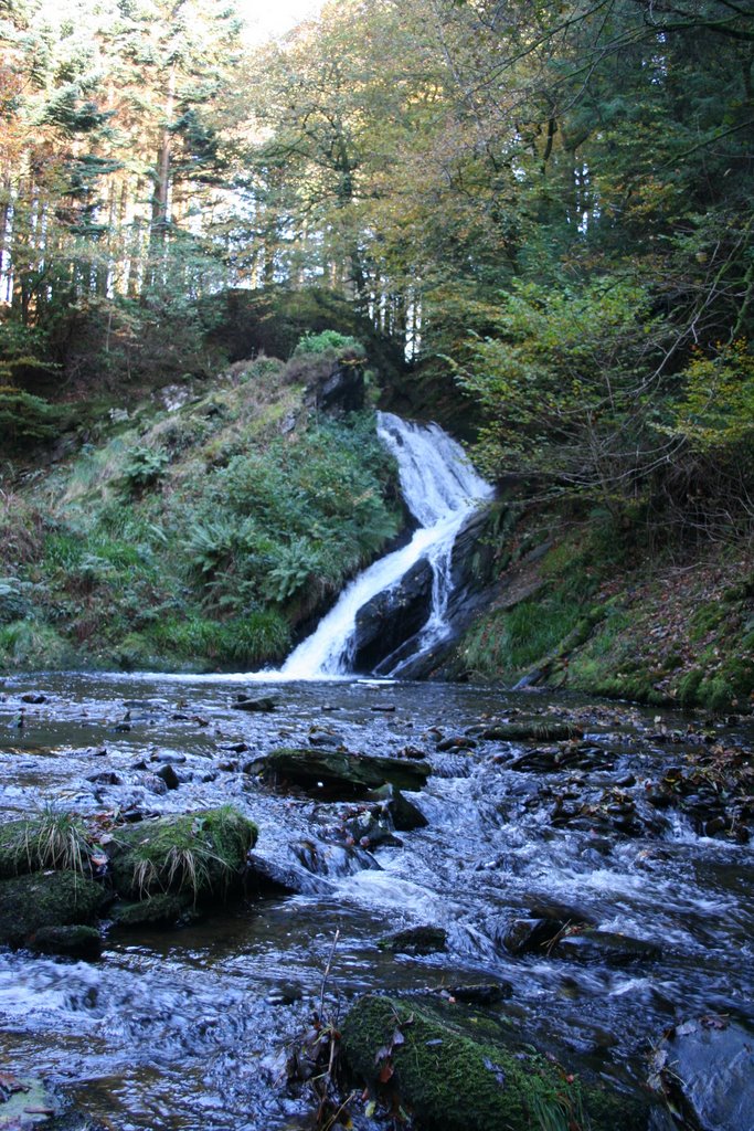 water fall. Hafod estate