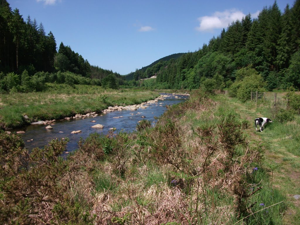 Avon Ystwyth