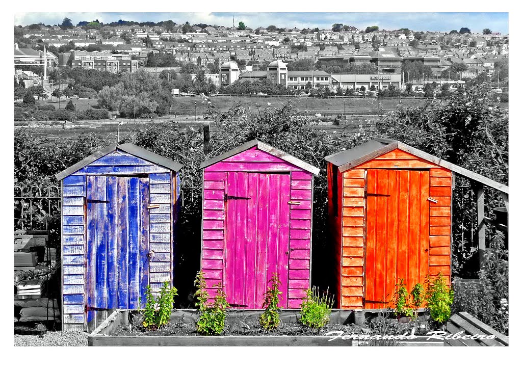 Barry Island