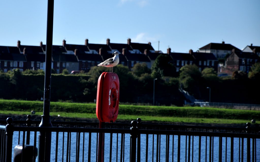 Barry: early in the morning
