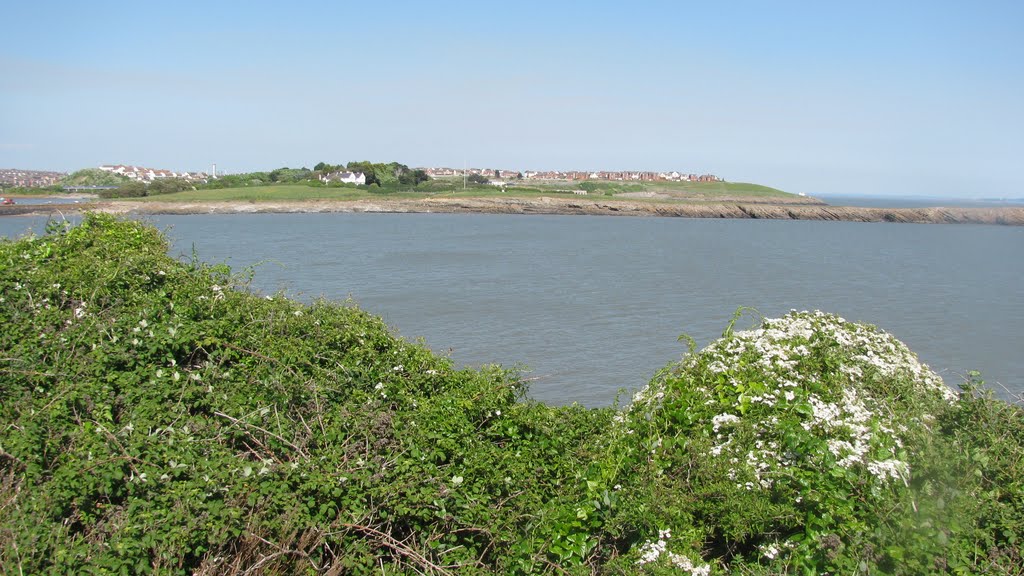 View to Little Island