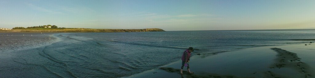 The Old Harbour Barry. Sony 770 camera phone