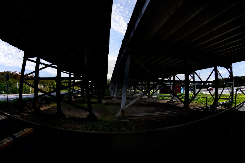 bridgeland 6