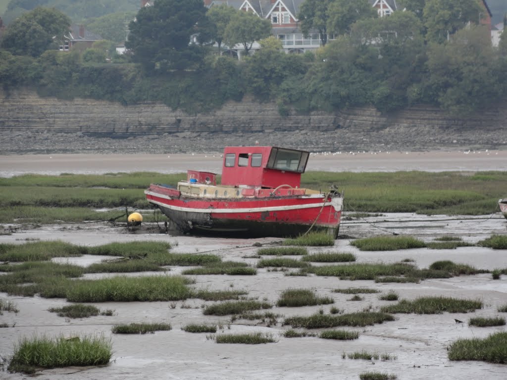 Left by the Tide