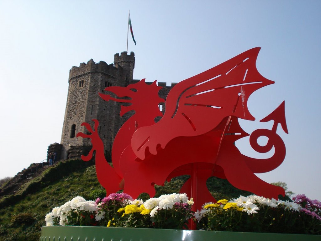 Dragon & Castle - © Émerson-V