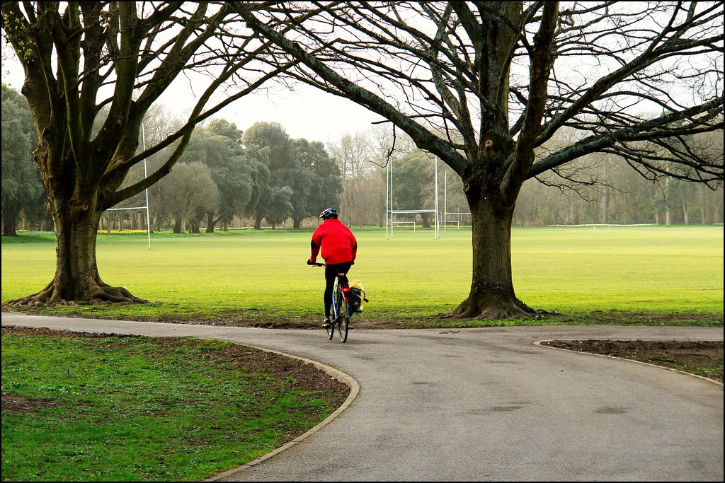 Bute park biker