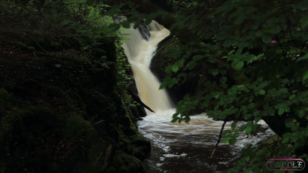 Tregaron