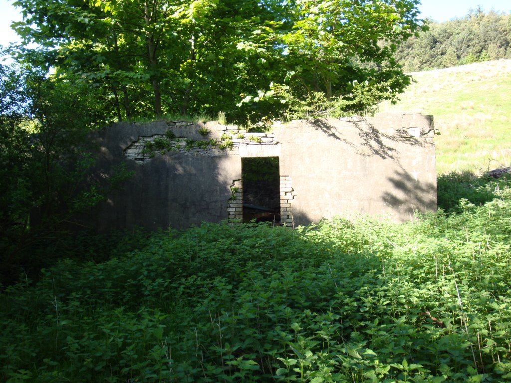 Blaengwenffrwd, Tonmawr