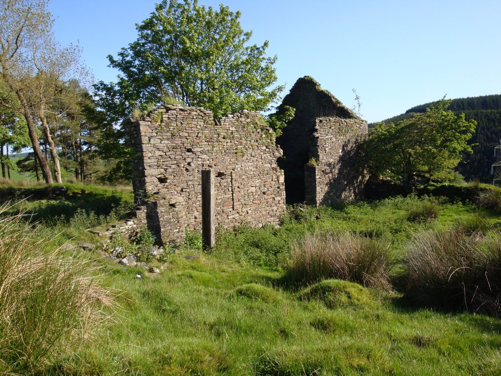 Blaengwenffrwd, Tonmawr, Old Barn.