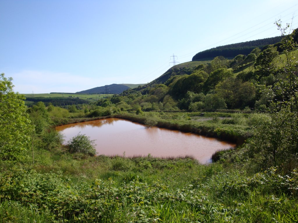 Orange pond. Tonmawr. Part of the Pelenna minewater treatment system.