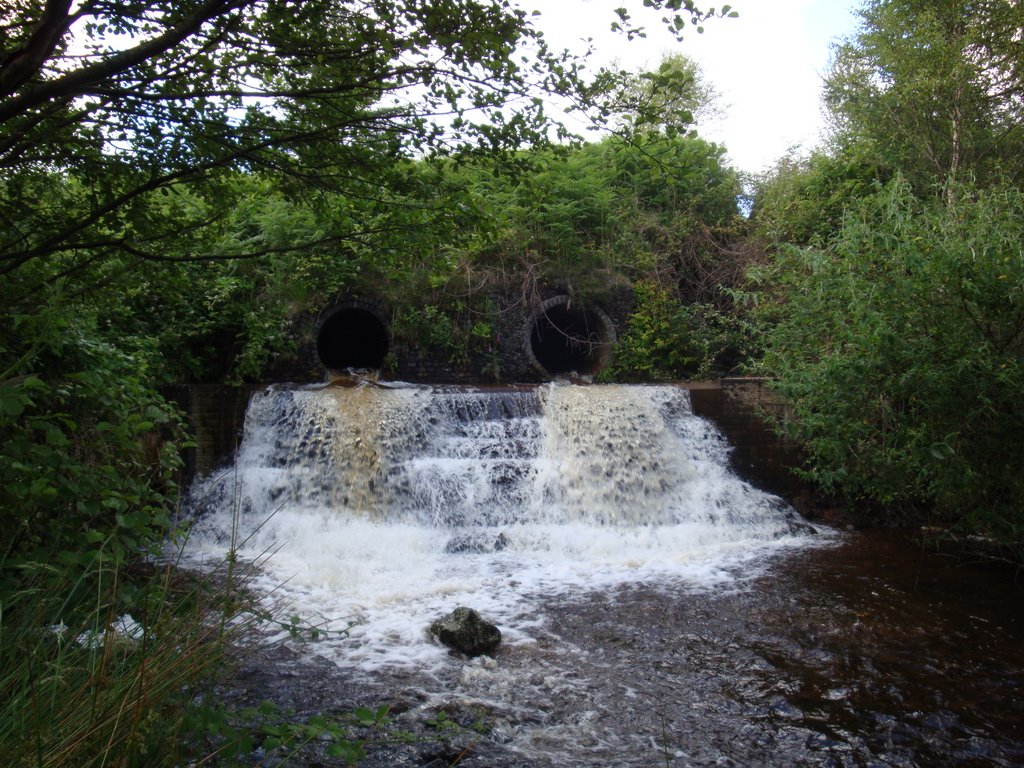 Cascade.