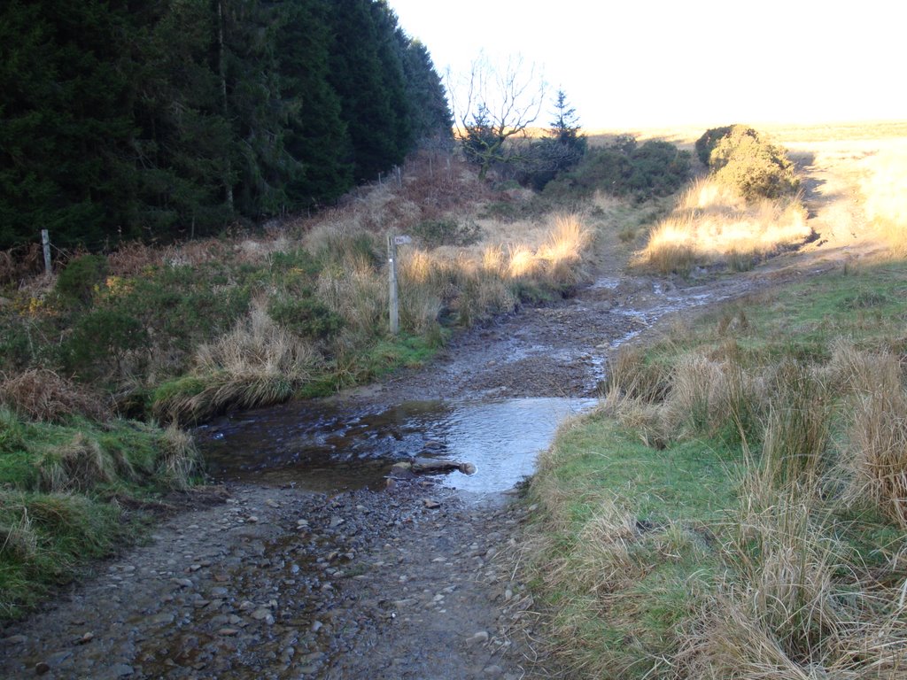 Blaengwenffrwd Ford