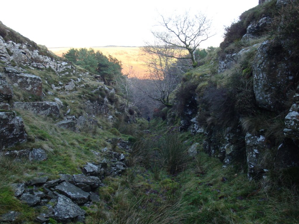 Part of The Glyncorrwg Mineral Railway (Strange & Parsons)