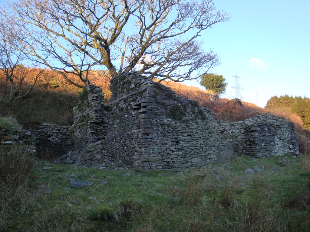 Tyn-y-cwm