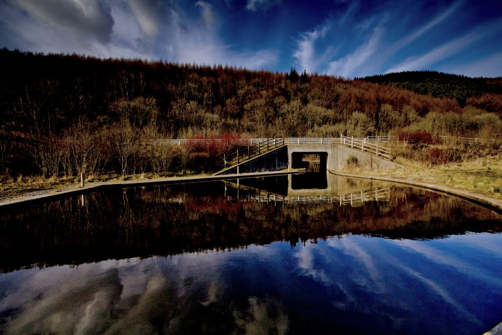 Blaengwynfi