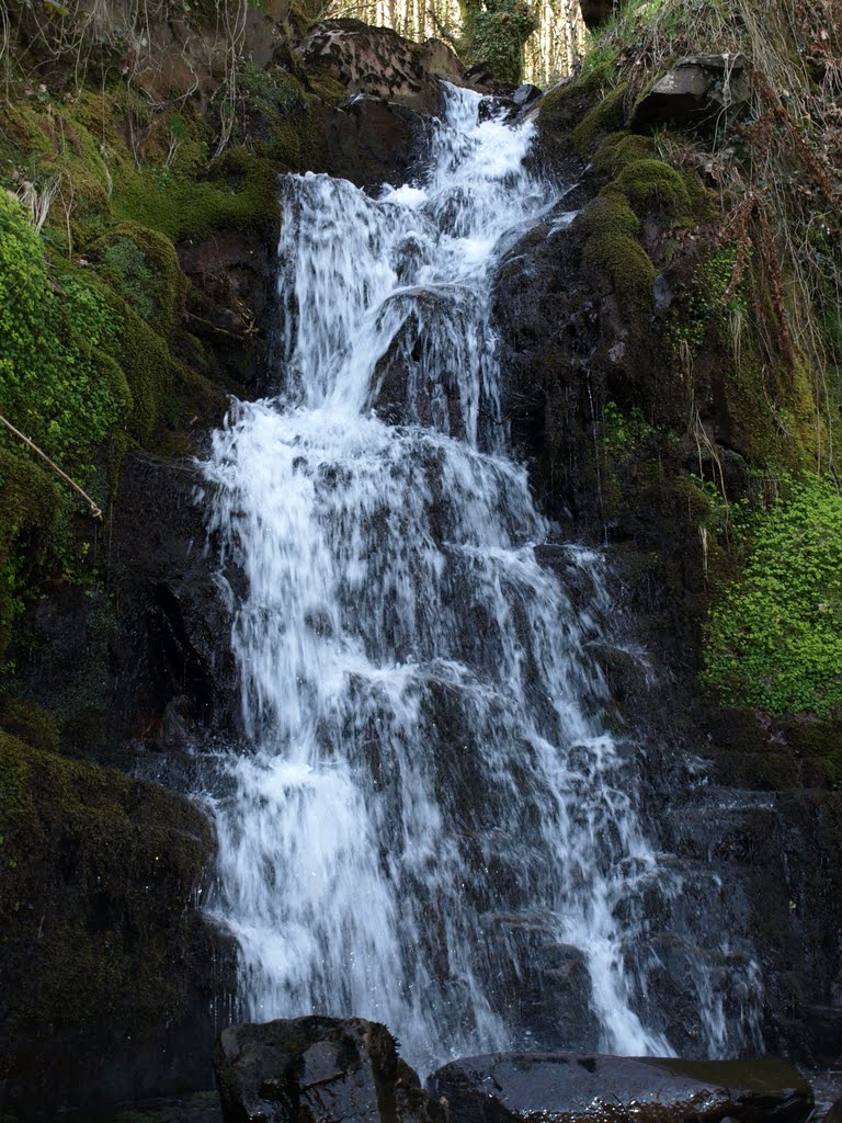 ynysarward water fall