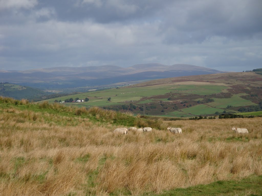 The rugged beauty of the South Wales Hills above Neath
