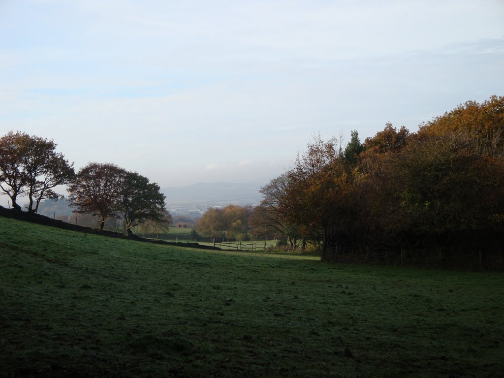 November scene above Tonna Neath