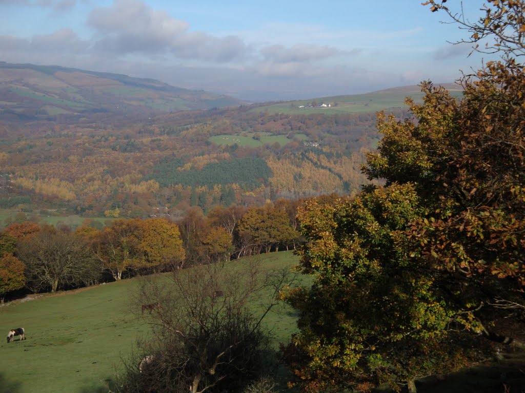 Autumn in the South Wales Hills above Tonna