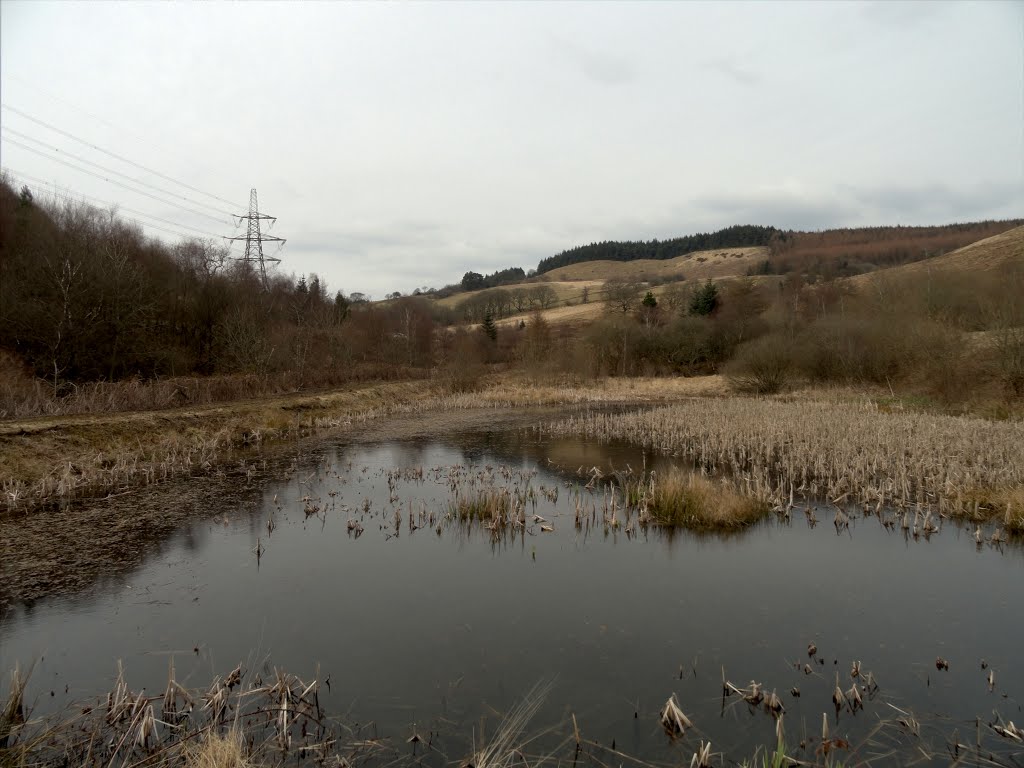 Tonmawr