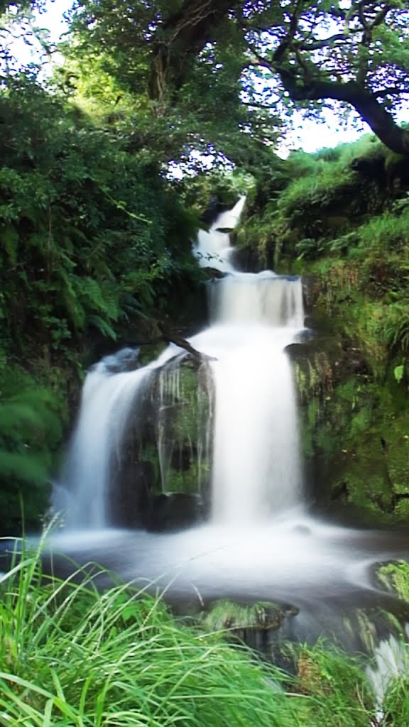 Falls