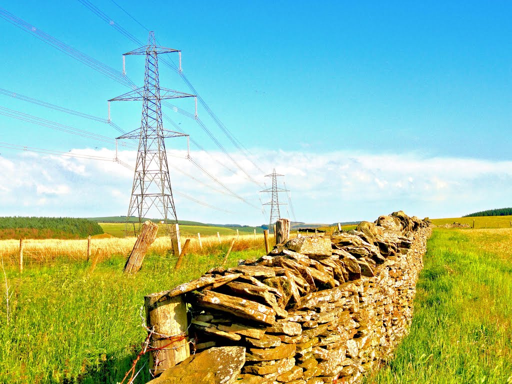 Pylons