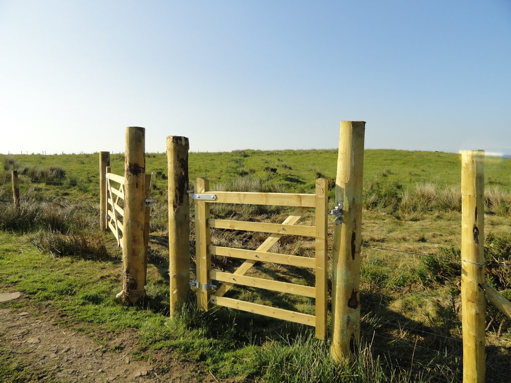 Bridleway,Blaen-cwm-Bach Roman Fort