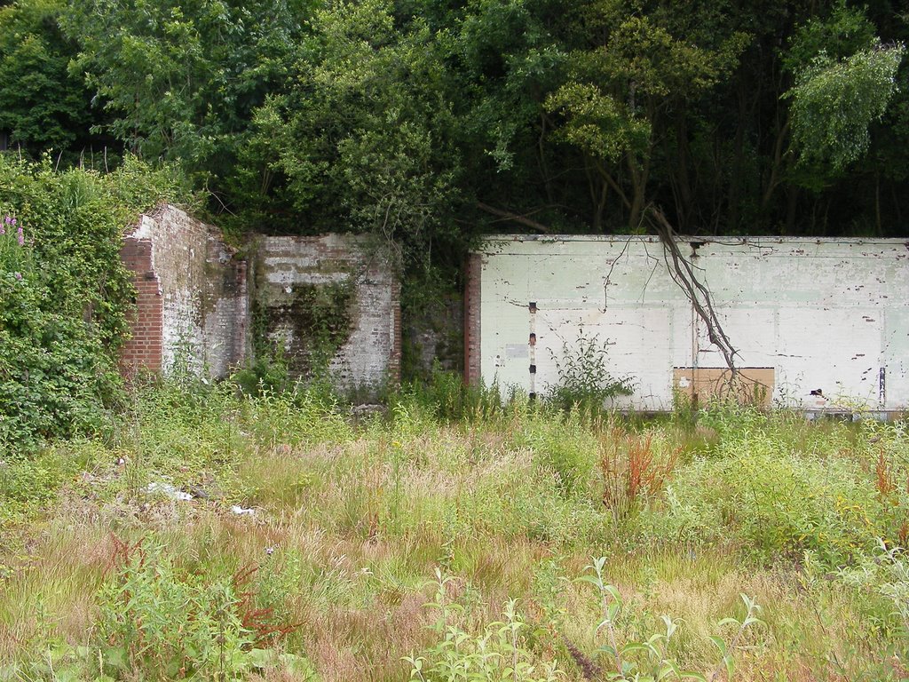 Llwynypia, Rhondda