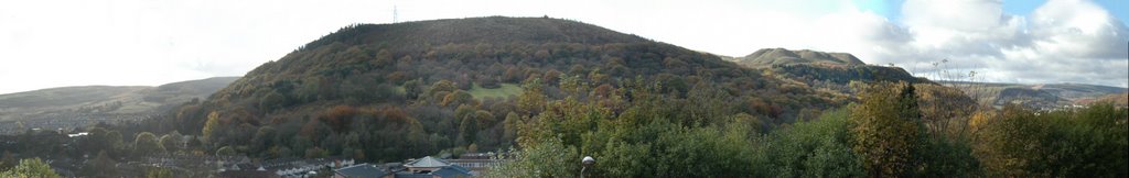 Rhondda Panorama