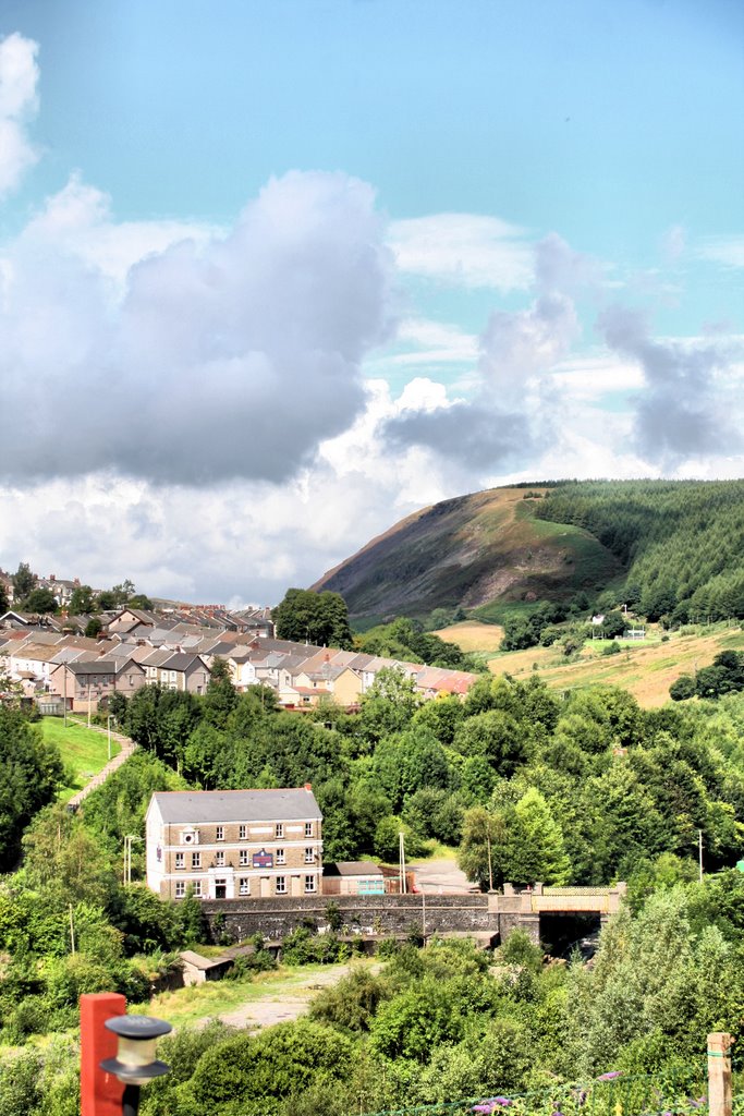 Ferndale & the mountain