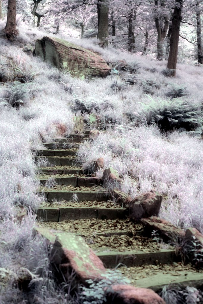 candyfloss stairway