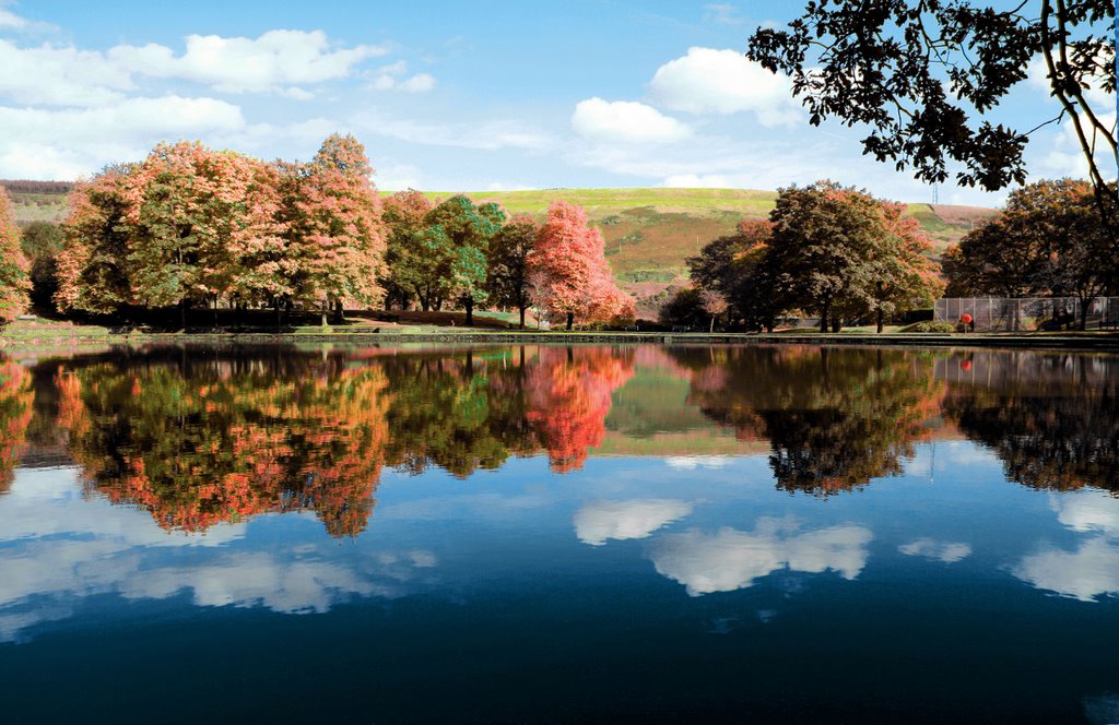 reflection
