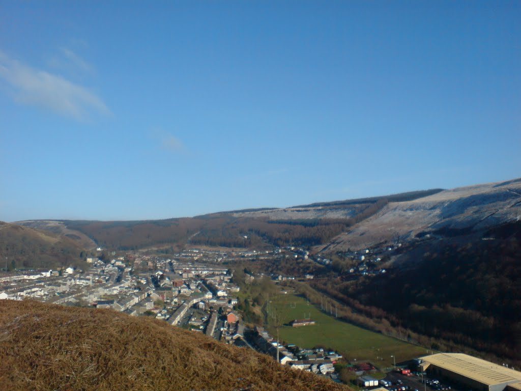 ferndale