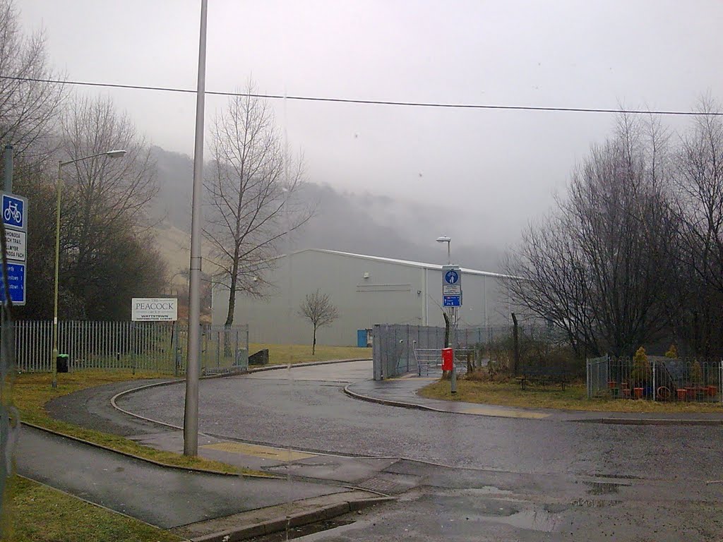 fog