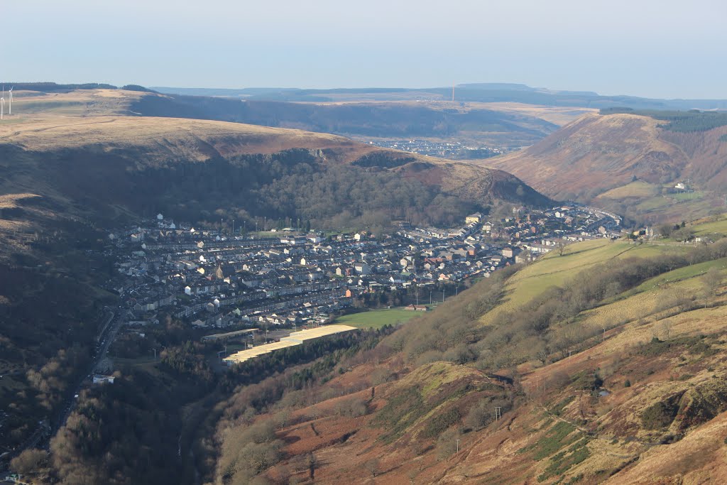 Ferndale