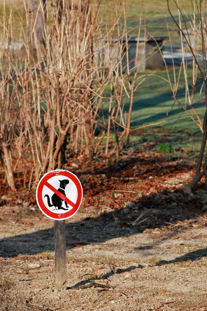Az Eszterházi kastély parkja egy fura jelzőtáblával :) (KPA)
