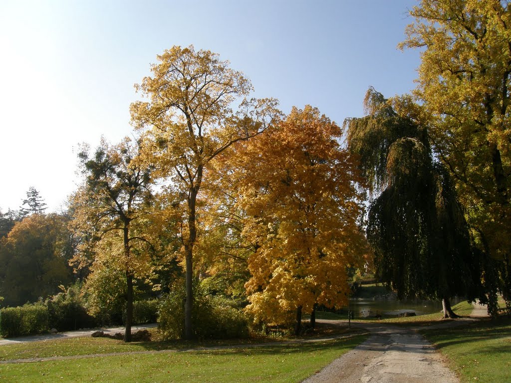 Őszi park - Kismarton