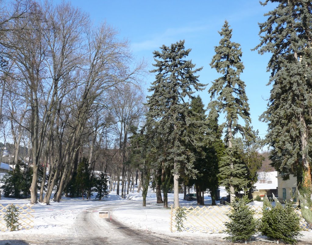 Eisenstadt, Schlosspark Esterhazy