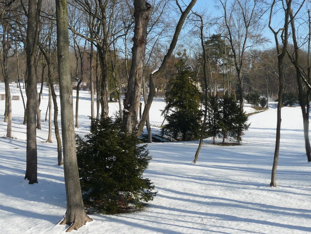Schlosspark