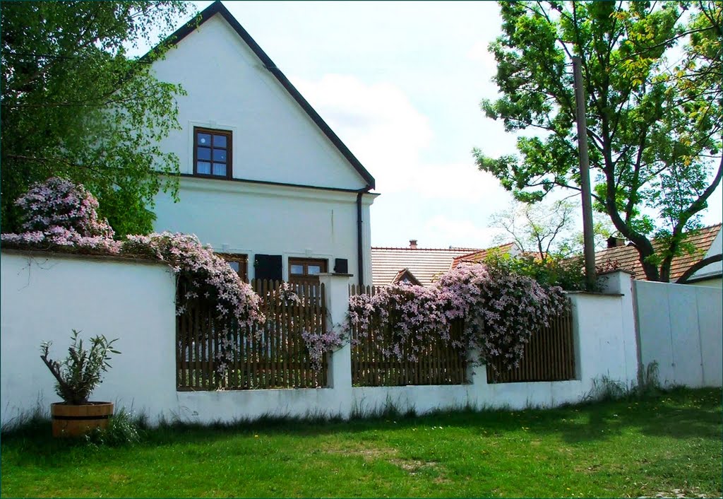 Eisenstadt-Ausztria