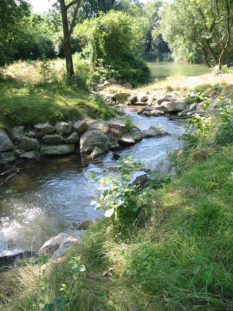 Fischwanderhilfe an der Mündung des Mühlbaches