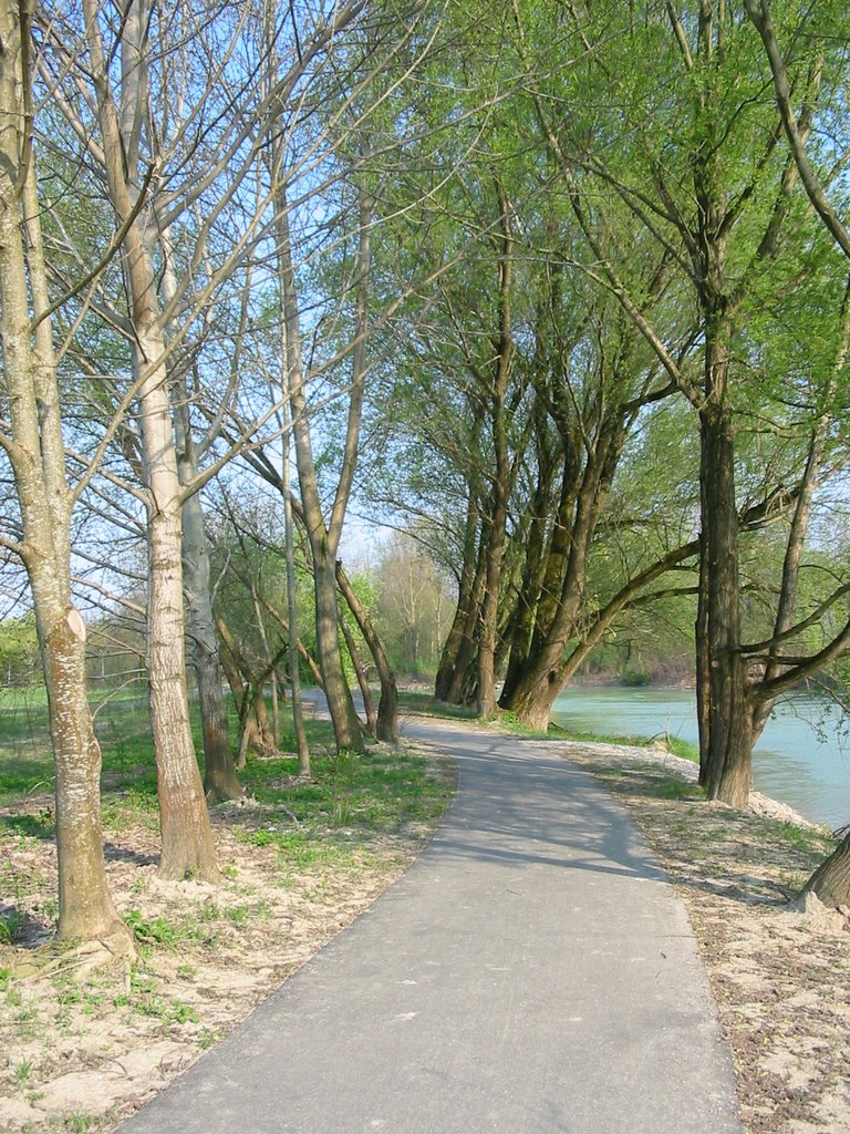 Ybbsbegleitweg