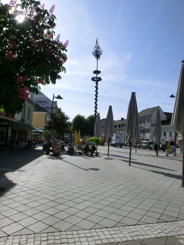 Maibaum 2011