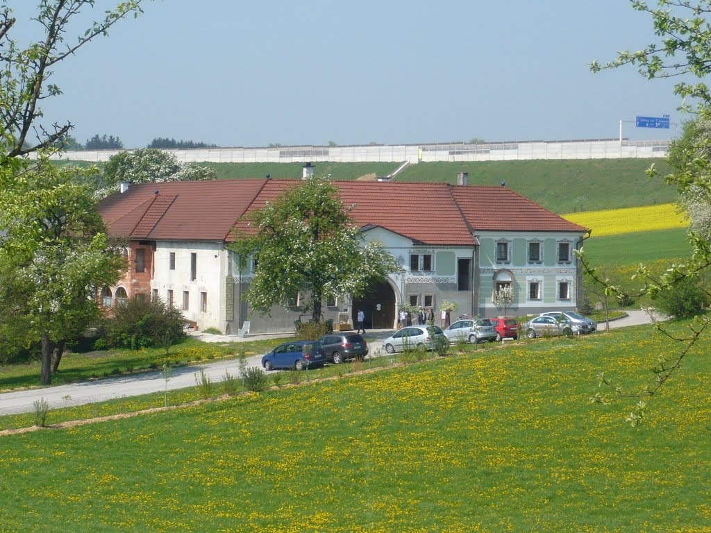 Mostheuriger und Schaubrennerei Hauer