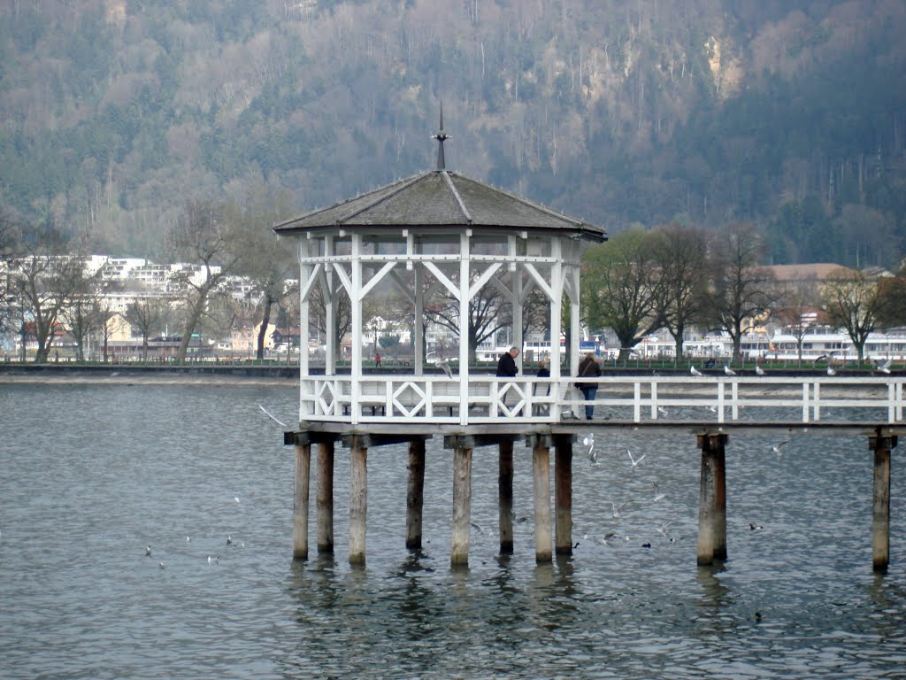 Bregenz  - Osterreich