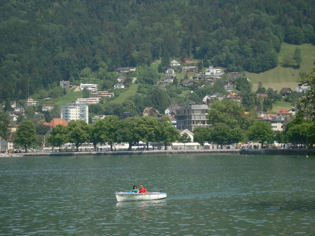 avusturya-bregenz- bodensee