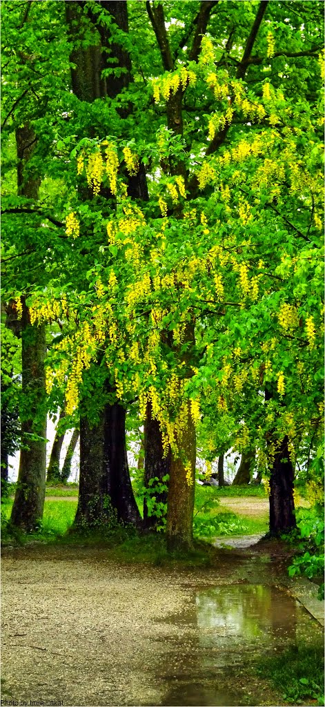 Toscanapark, 4810 Gmunden, Ausztria Ort Landschloss