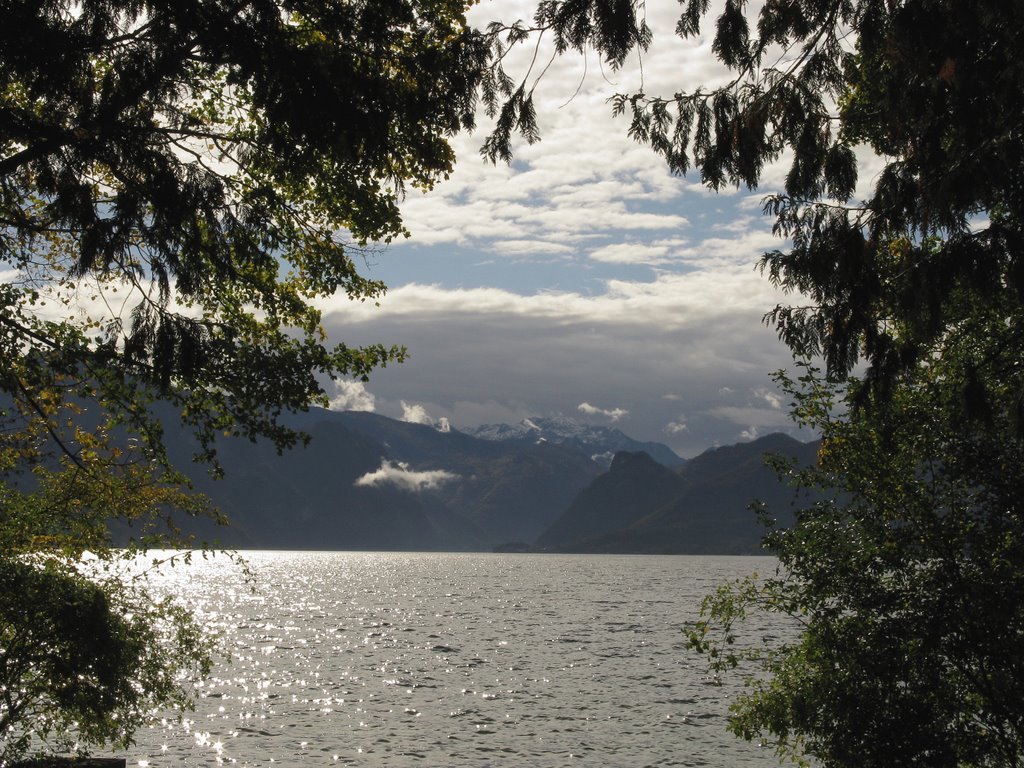 am Traunsee