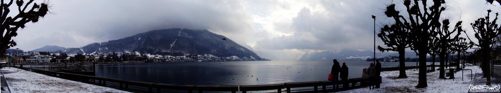 Panorama Traunsee