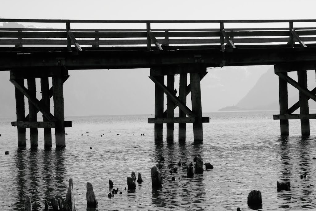 Bridge to Schloss Orth